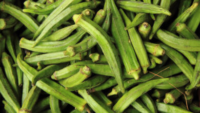 Photo of بھنڈی کے فوائد