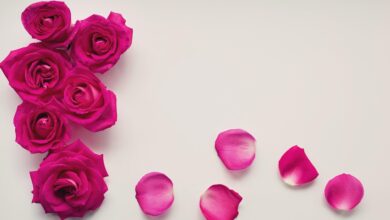 Photo of شادی بیاہ اور رسومات