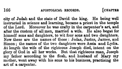 Photo of حضرت مریم علیہا السلام کے کتنے بچے تھے؟