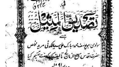 Photo of القول الجمیل فی تصدیق المثیل (قسط24)