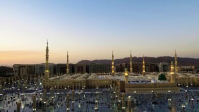 Photo of دست بکار و دل بیار