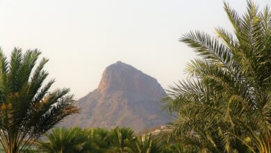 Photo of آنحضورصلی اللہ علیہ وسلم کے پاکیزہ بچپن کی بابت ایمان افروز روایات