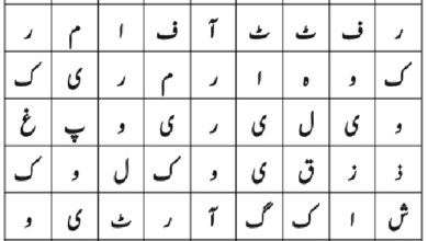 Photo of تلاش کریں