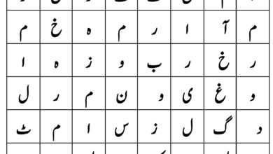 Photo of تلاش کریں۔۔۔