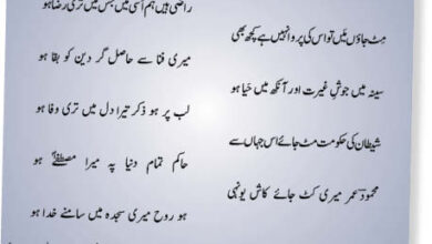 Photo of ہو فضْل تیرا یا رب یا کوئی اِبتلا ہو