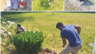 Photo of جماعت Wittlich جرمنی کی مسجد حمد میں مثالی وقار عمل کا انعقاد