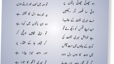 Photo of میں اپنے پیاروں کی نِسبت ہرگز نہ کروں گا پسند کبھی