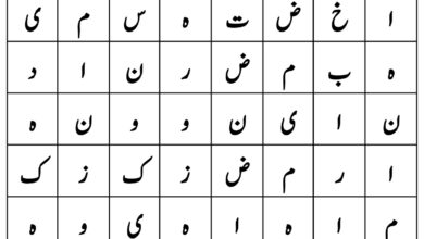 Photo of تلاش کریں: