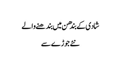 Photo of شادی کے بندھن میں بندھنے والے نئے جوڑے سے