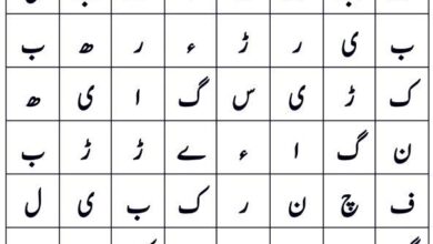 Photo of الفاظ تلاش کریں!