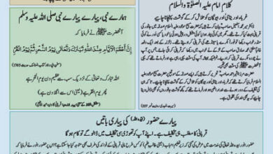 Photo of بچوں کا الفضل 07؍ جولائی 2023ء