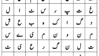 Photo of الفاظ تلاش کریں!