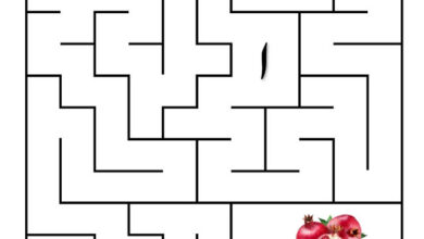 Photo of راستہ تلاش کریں