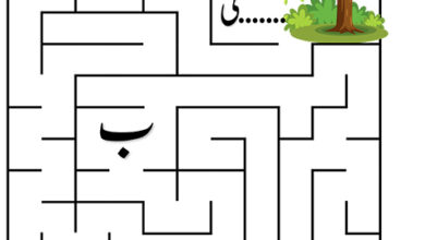 Photo of راستہ تلاش کریں