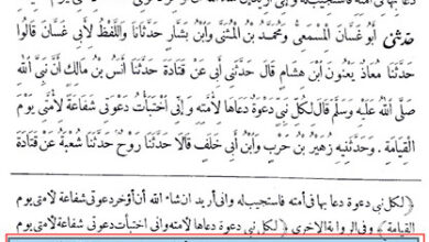 Photo of کیا نبی کی ہر دعا قطعی طور پر قبول ہوتی ہے؟