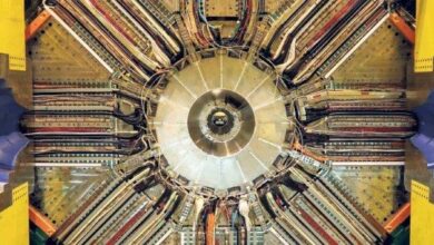 Photo of علم کے دریا سے نکلے غوطہ زن گوہر بدست