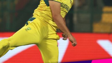 Photo of کرکٹ ورلڈ کپ 2023ء میں آسٹریلیا نے پاکستان کو 62رنز سے شکست دے دی