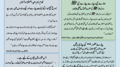 Photo of بچوں کا الفضل 24؍ دسمبر 2023ء