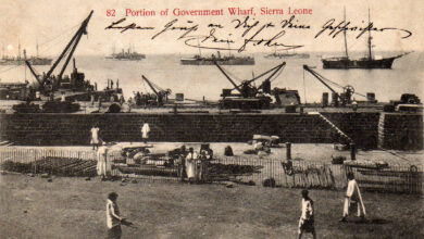 Photo of گیارہ سالہ قریب المرگ بیٹے کے ساتھ سرزمین افریقہ پر پہنچنے والی ایک بہادر احمدی خاتون