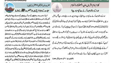 Photo of الفضل انٹرنیشنل ۱۳؍ فروری ۲۰۲۴ء