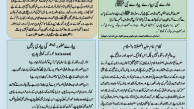 Photo of بچوں کا الفضل 3؍ مارچ 2024ء