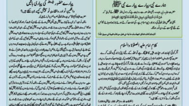 Photo of بچوں کا الفضل 14؍ اپریل 2024ء