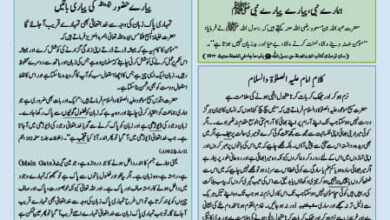 Photo of بچوں کا الفضل 12؍ مئی 2024ء