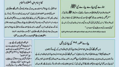 Photo of بچوں کا الفضل ۲۶؍ مئی ۲۰۲۴ء