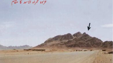 Photo of حضرت خلیفۃ المسیح الخامس ایدہ اللہ تعالیٰ کے خطبات جمعہ میں بیان فرمودہ بعض تاریخی مقامات کا جغرافیائی تعارف