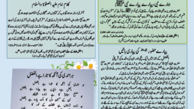 Photo of ہر احمدی کی آنکھ کا تارا ہے الفضل