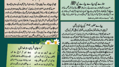 Photo of بچوں کا الفضل 16؍ جون 2024ء