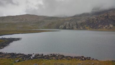 Photo of شیر قلی کی جڑواں جھیلیں دیوسائی کے وسیع میدان میں نئی دریافت