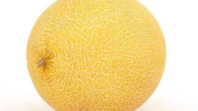 Photo of گرمی کا توڑ: خربوزہ