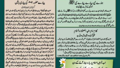 Photo of بچوں کا الفضل ۱۴؍ جولائی ۲۰۲۴ء