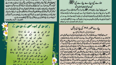 Photo of بچوں کا الفضل 28؍ جولائی 2024ء