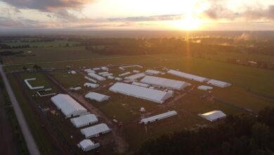 Photo of جلسہ سالانہ میں شامل ہونے کے اصل مقصد اور غرض کو سامنے رکھیں