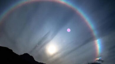 Photo of قمری قوسِ قزح