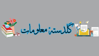 Photo of گلدستہ معلومات