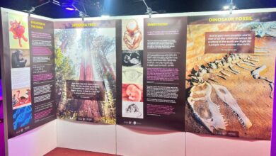 Photo of ریویو آف ریلیجنز اور نیشنل شعبہ تبلیغ جماعت برطانیہ کی مشترکہ نمائش