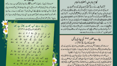 Photo of بچوں کا الفضل 25؍اگست 2024ء