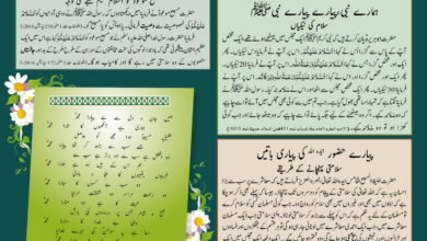 Photo of بچوں کا الفضل 8؍ستمبر 2024ء