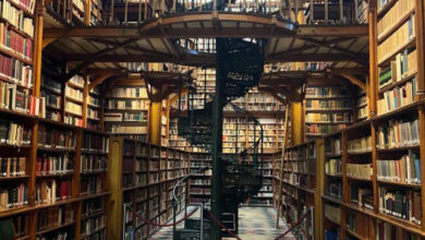 Photo of جرمنی کی جلسہ گاہ، مسیحی خانقاہ اور آتش فشانی آب و گیاہ۔ کچھ ذاتی خیالات و تاثرات