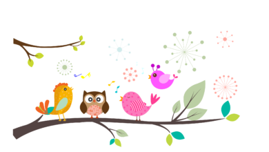 Photo of کامیابی کی راہیں۔ نصاب ستارہ اطفال سات سے آٹھ سال کی عمر کے بچوں کے لیے