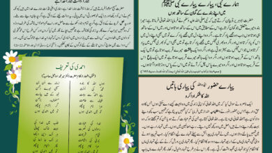 Photo of بچوں کا الفضل 6؍اکتوبر 2024ء