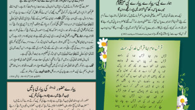 Photo of گذشتہ شمارے کے درست جواب