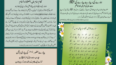 Photo of بچوں کا الفضل 03؍ نومبر 2024ء