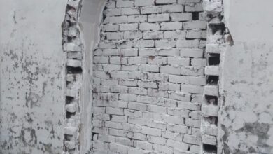 Photo of پولیس نے 45مرڑضلع ننکانہ کی احمدیہ مسجد پر موجود مینار اورمحراب مسمار کردیے