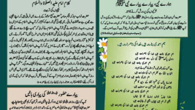 Photo of بچوں کا الفضل 17؍ نومبر 2024ء