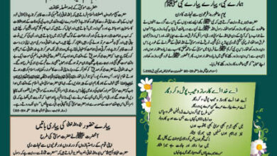 Photo of بچوں کا الفضل یکم دسمبر 2024ء