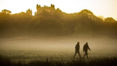 Photo of مرد وہ ہے جو جفاکش ہو گل اندام نہ ہو  (International Men’s Day)